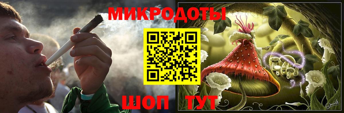 Кингисепп  Псилоцибиновые грибы Cubensis  Вход с VPN 